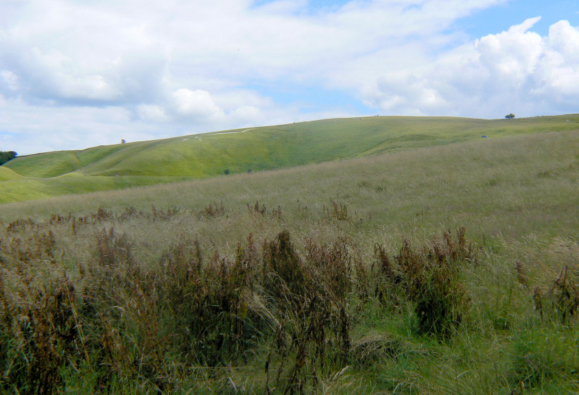 Whitehorse Hill