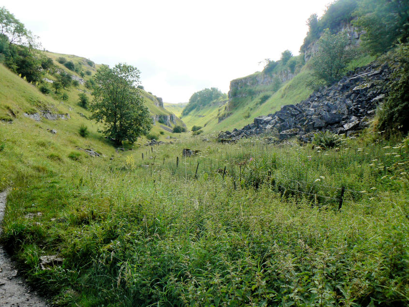 Lathkill Dale