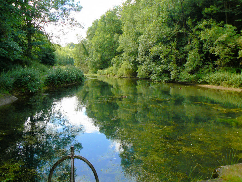 Bradford Dale