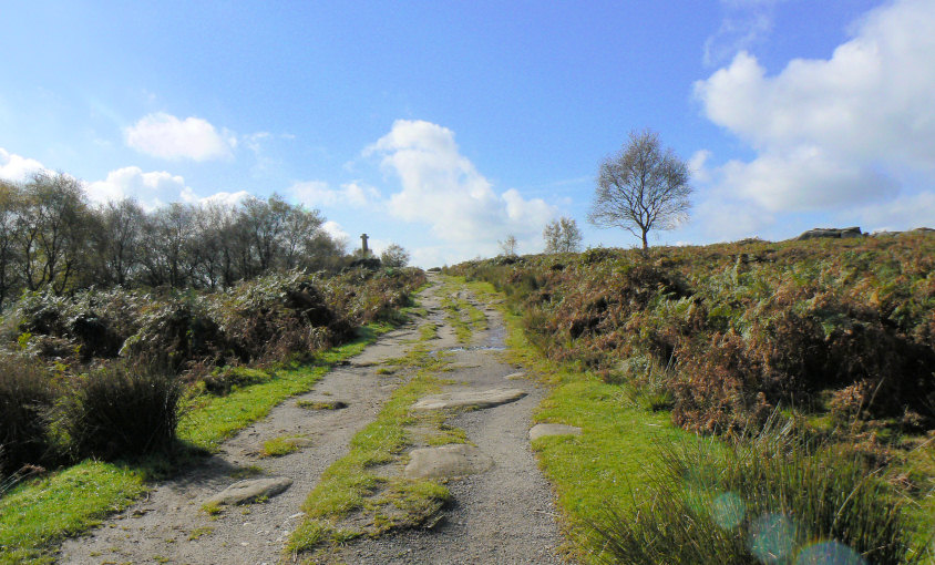 Wellington's Monument