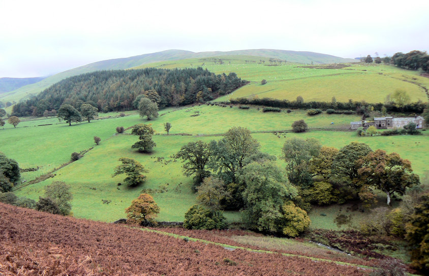 Burthwaite Heights