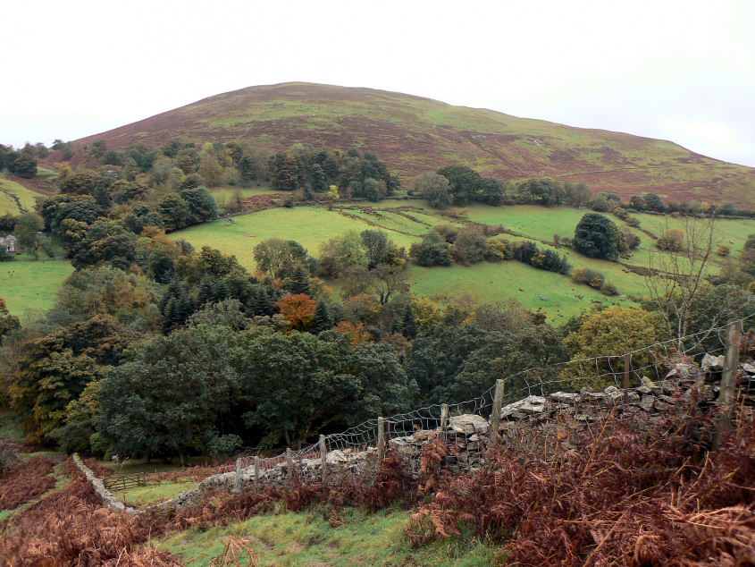 Ling Fell