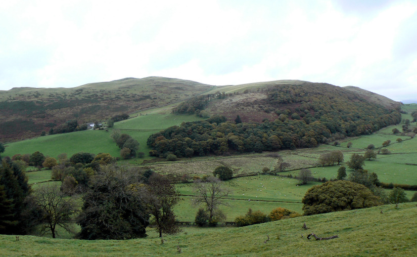 Sale Fell