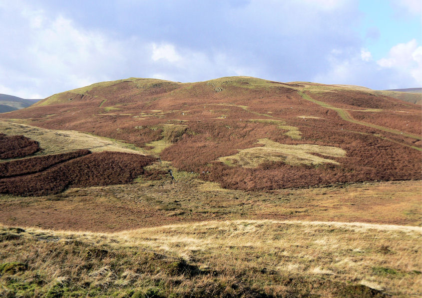 Bampton Fell
