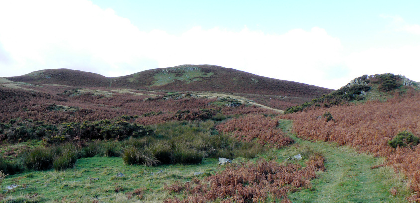 Pinnacle Howe
