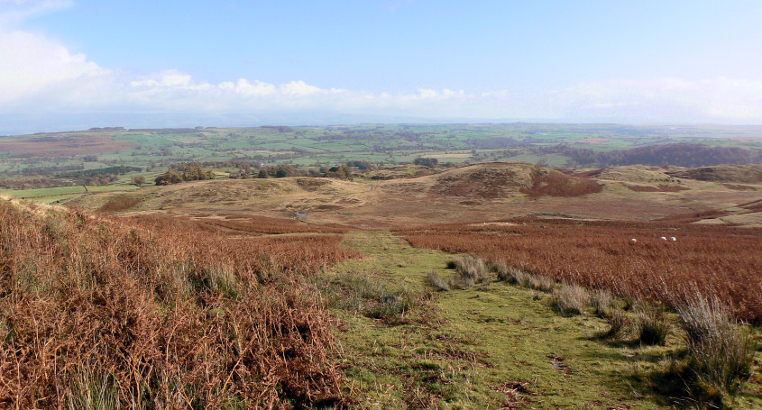 Pinnacle Howe
