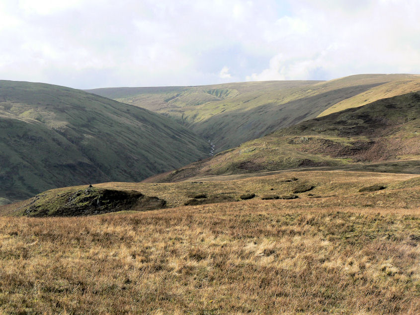 Low Kop