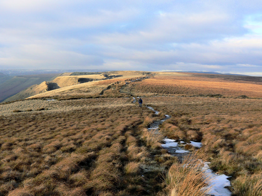 Rowlee Pasture