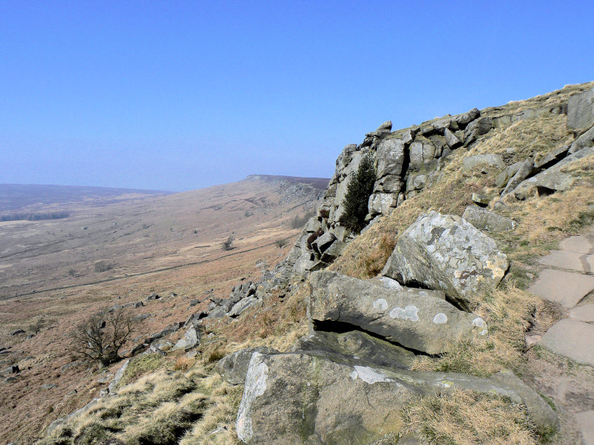High Neb