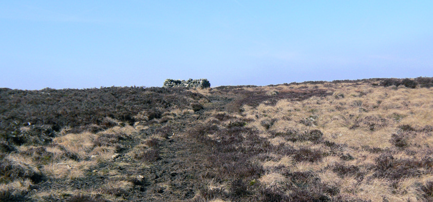 Rud Hill