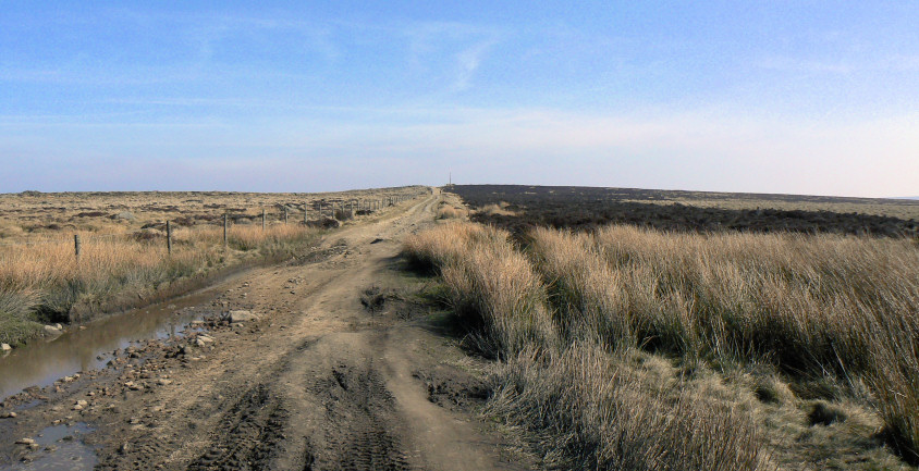 Stanedge Pole