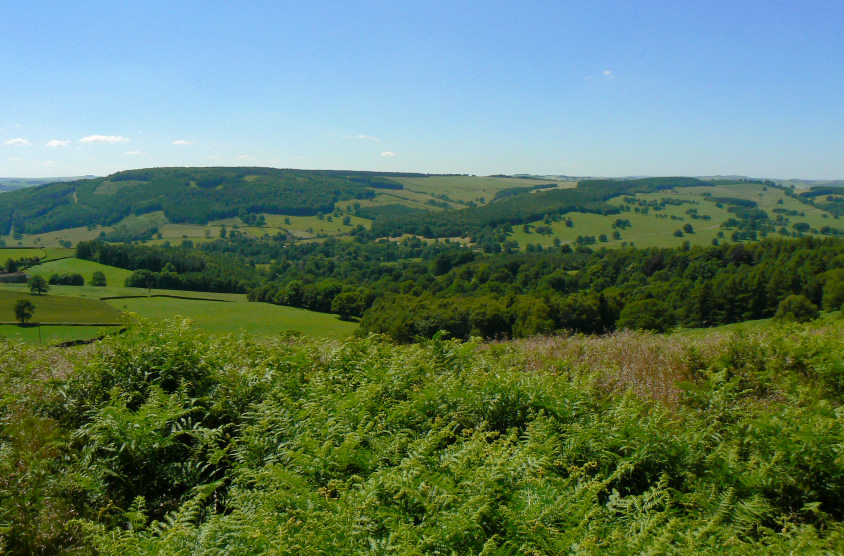 Calton Pastures