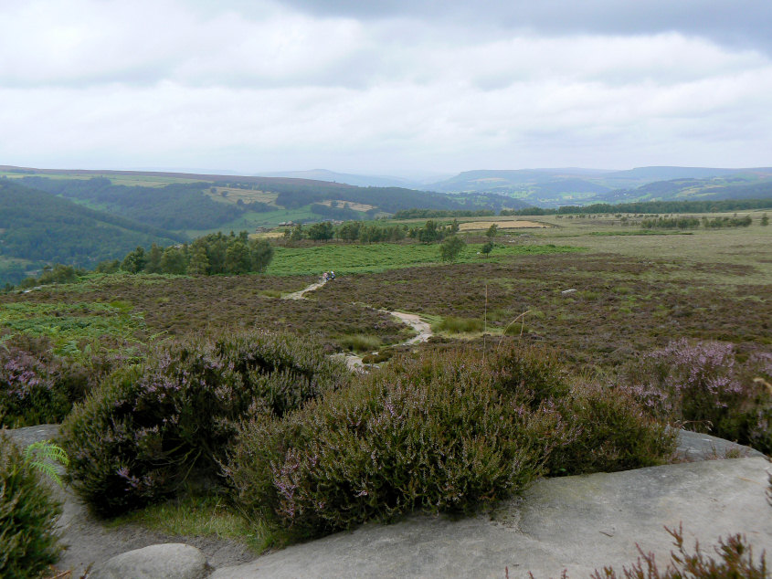 Stoke Flat