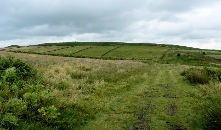 White Edge