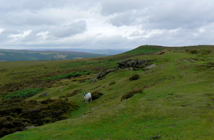 Win Hill