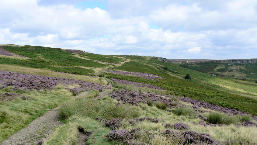 Fiddler's Elbow