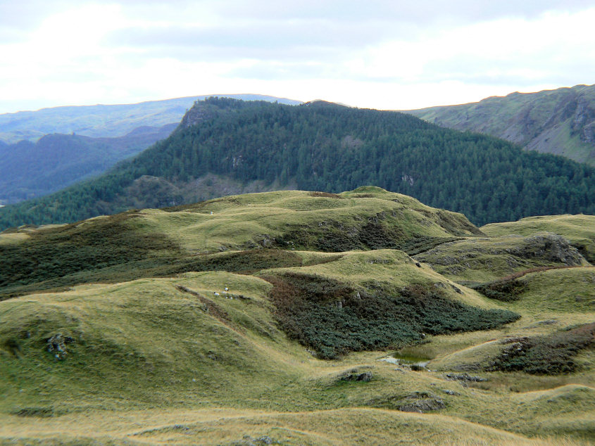High Rigg