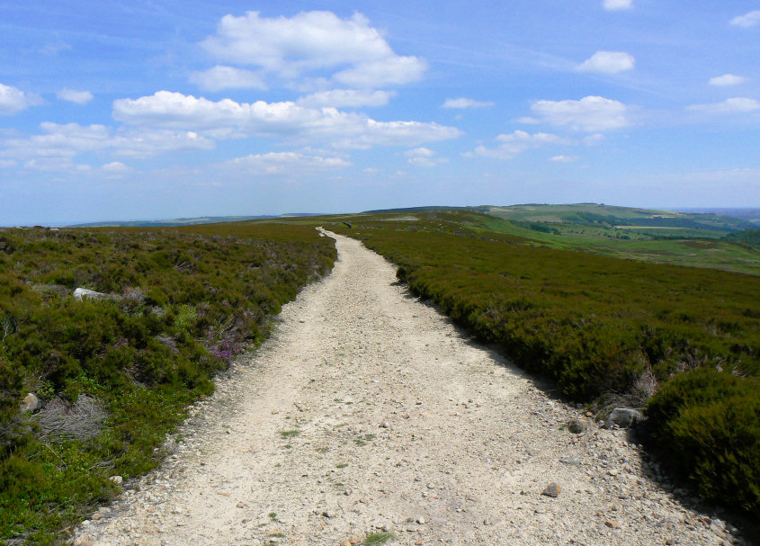 Walker Edge