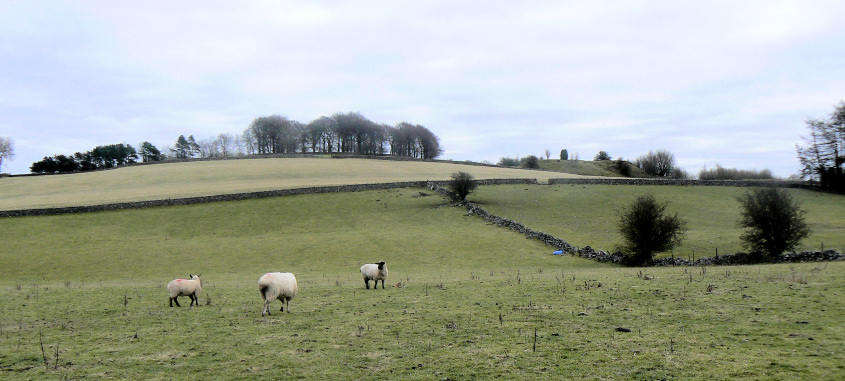 Kenslow Knoll