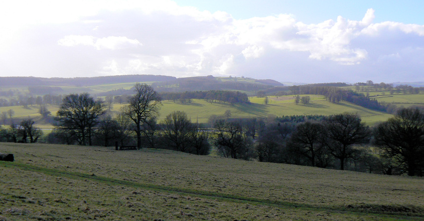 Calton Pastures