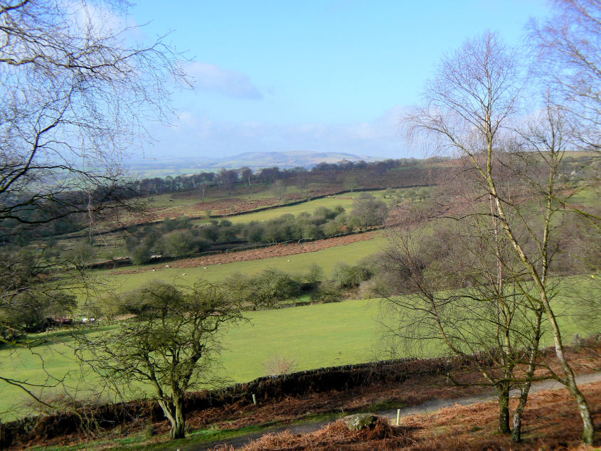 Longstone Moor