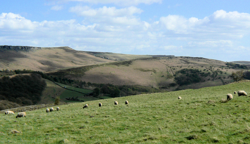 Cowper Stone