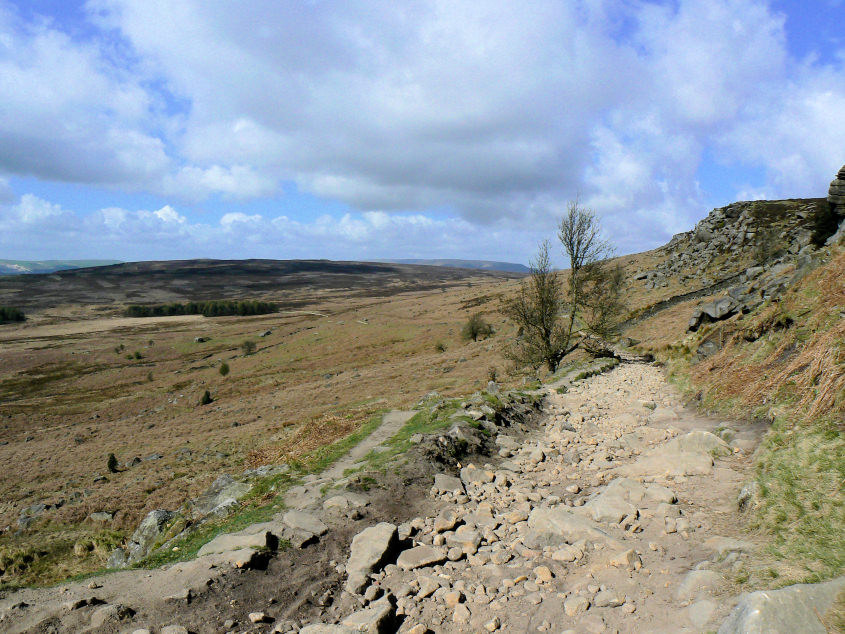 Long Causeway