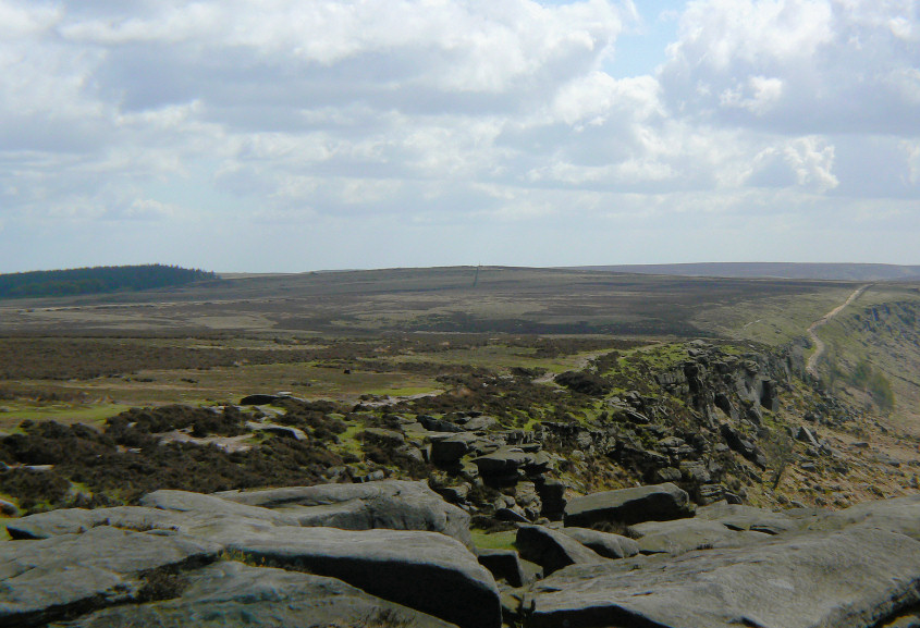 Stanedge Pole