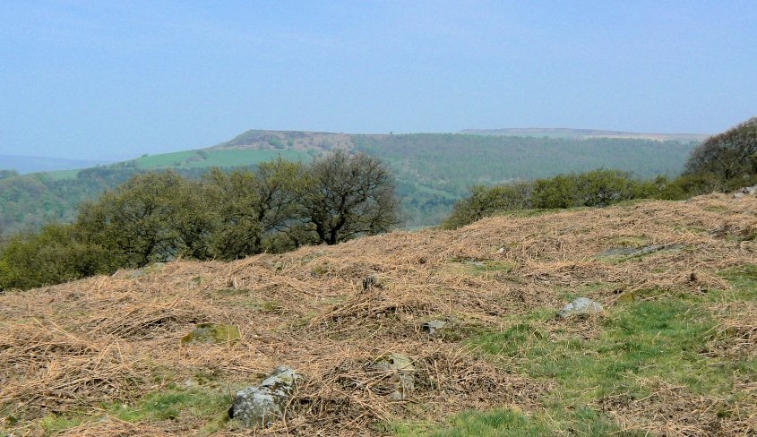 Baslow Edge
