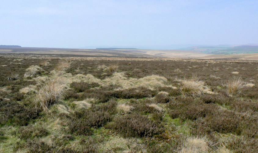 Gibbet Moor