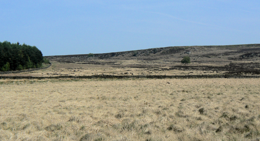 Harland Edge