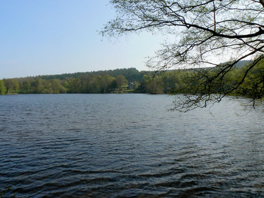 Swiss Lake