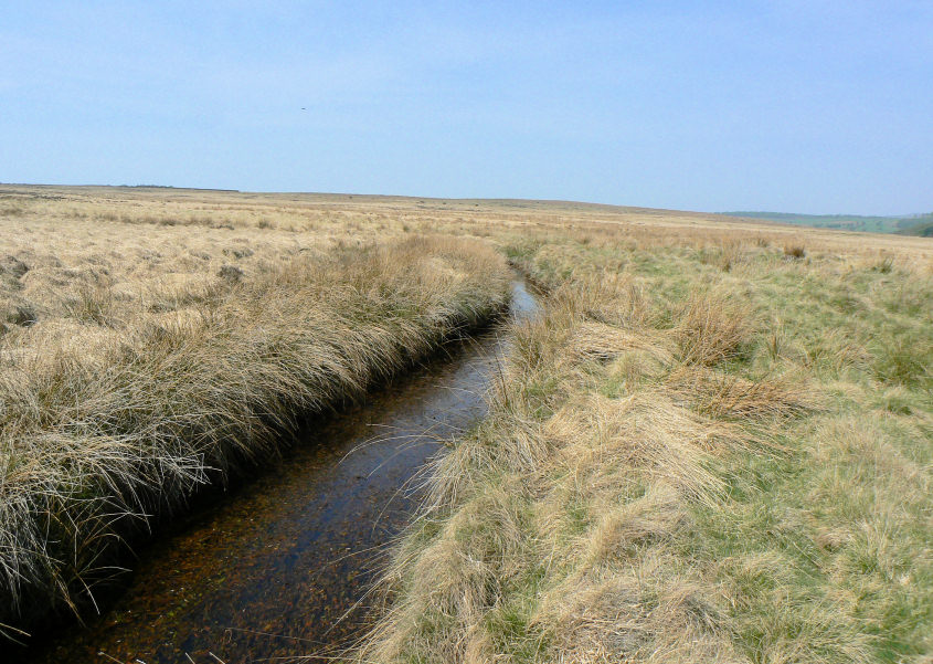 Umberley Brook
