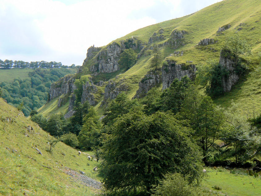 Peaseland Rocks