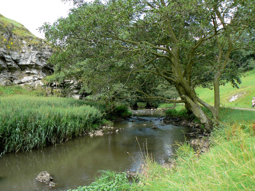 River Dove