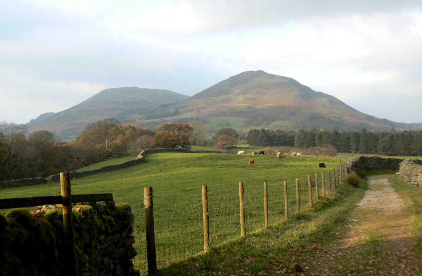 Low Fell