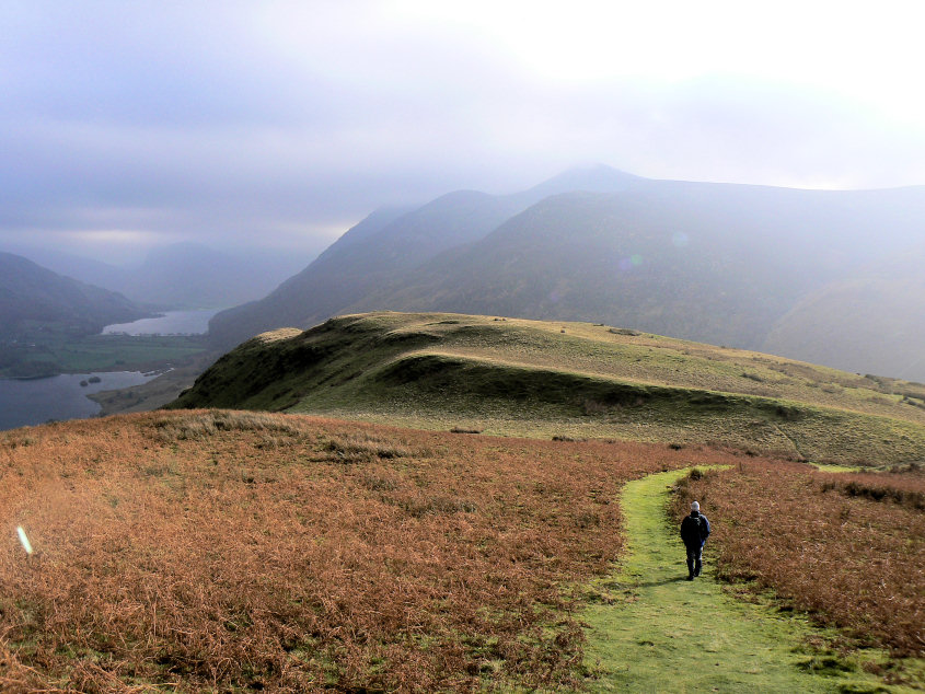 Scale Knott