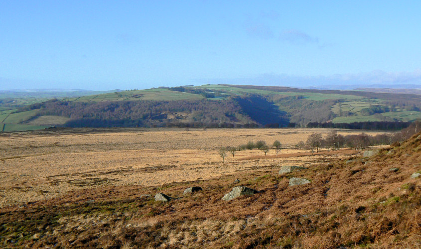 Stoke Flat