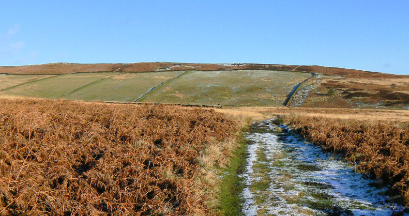 White Edge