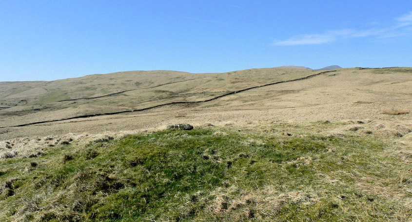 Cocklaw Fell's summit