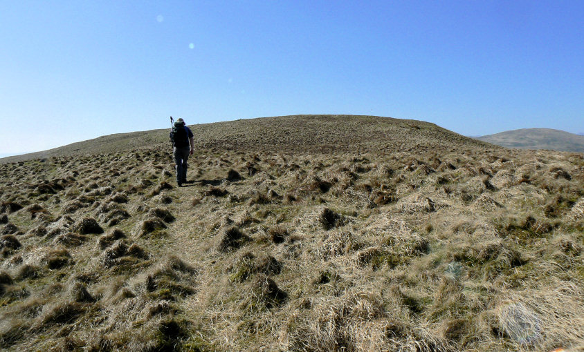 Hollow Moor