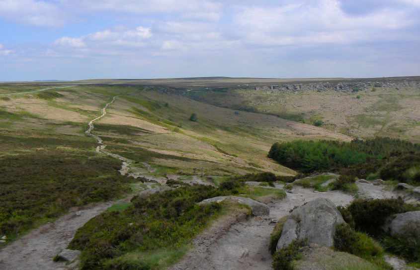 Fiddler's Elbow