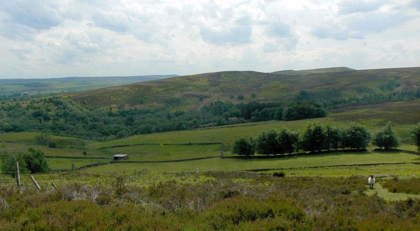 Emlin Ridge