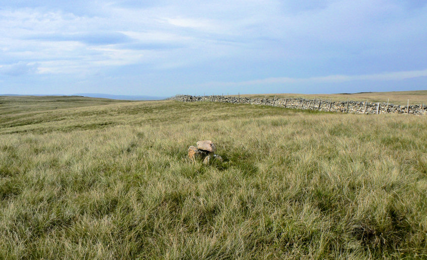 Great Yarlside's summit