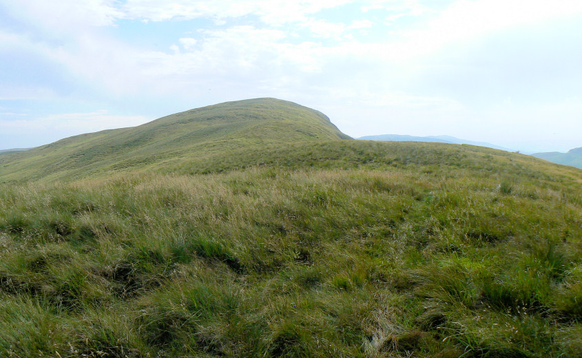 High House Bank