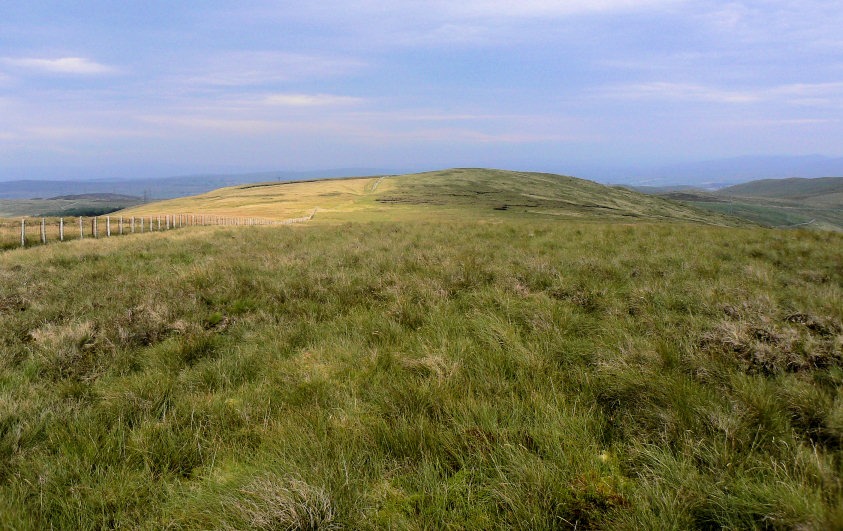 What Shaw's summit