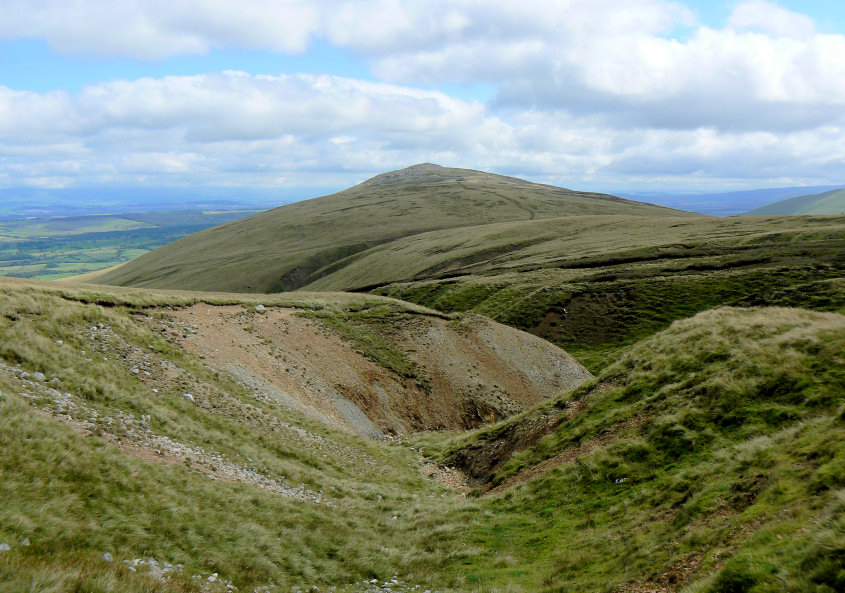 Dry Gill