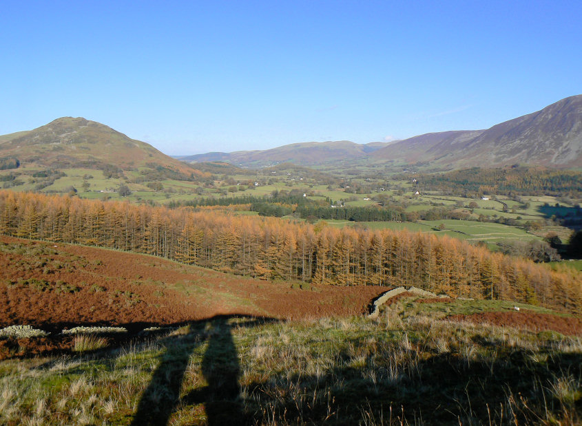 Lorton Vale