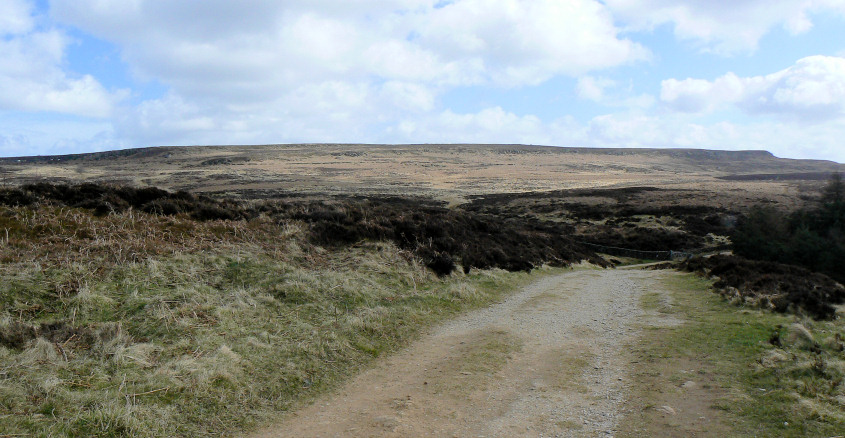 Harland Edge