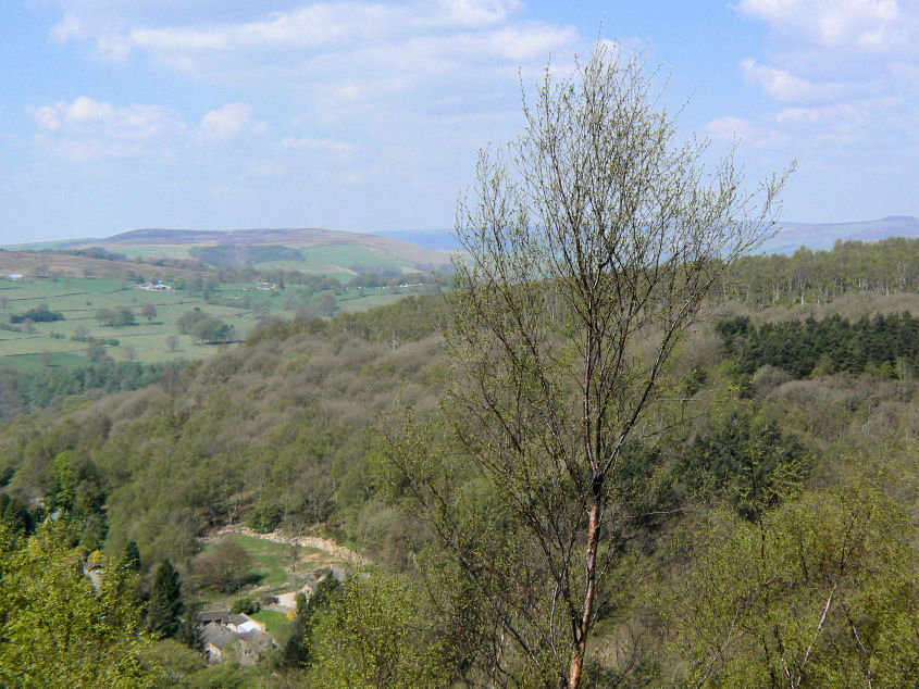 Smelting Hill
